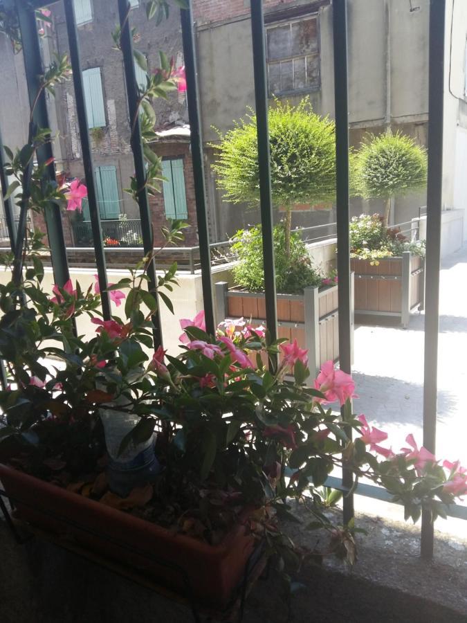 Quai De L ' Arnette Bed and Breakfast Mazamet Εξωτερικό φωτογραφία